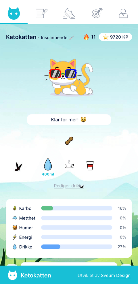 Hjemfane med avatar og dagsoversikt